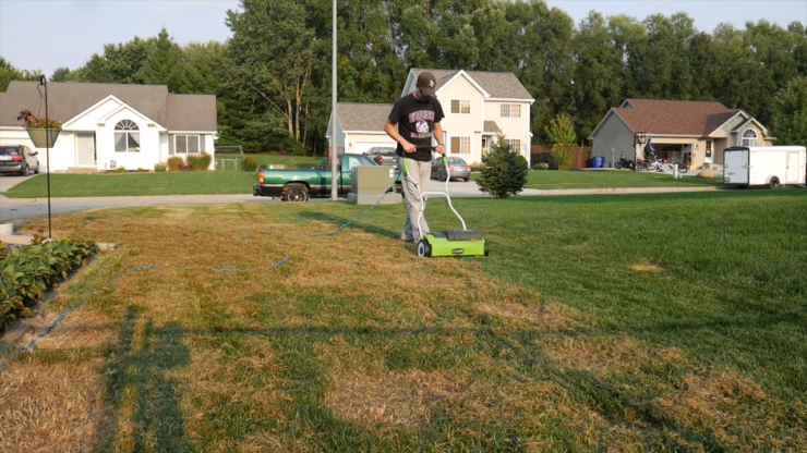 Fix an Ugly Lawn with Overseeding
