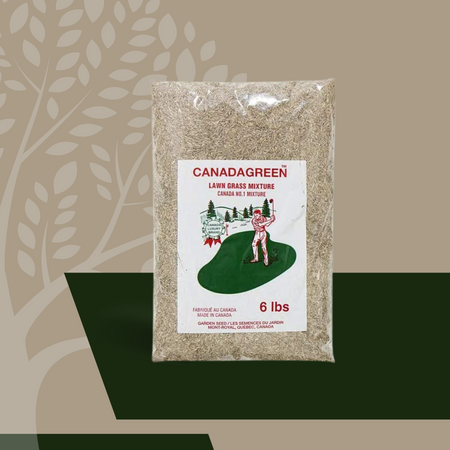 Canada Green Grass Seed