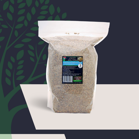 Kentucky 31 K31 Tall Fescue Grass Seed by Eretz